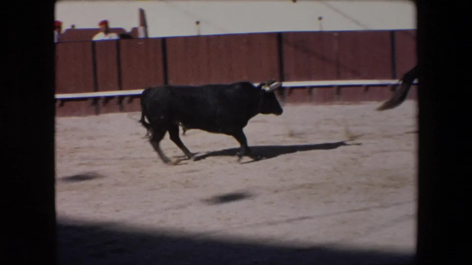 A black bull with visible horns runs across the sandy bullring in front of a wooden barrier, with spectators watching from behind the fence in the supplied Barcelona footage.
