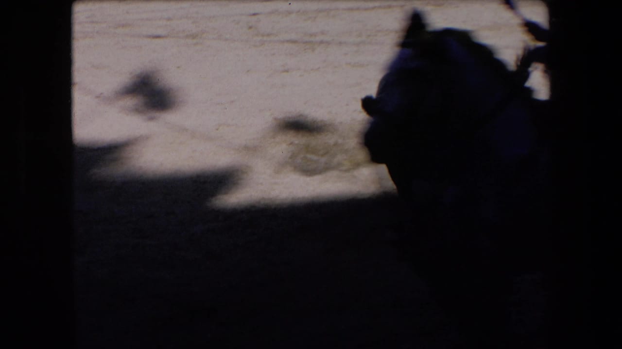 Dark silhouette of a bull at the right edge of a sandy arena frame.