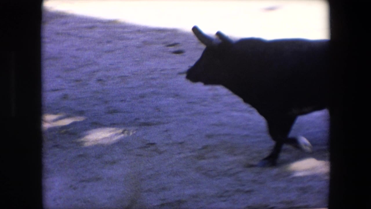 The black bull moves close to the camera's line of sight in a shadowed portion of the Barcelona arena, rendered as a soft, dark profile on 8mm film.