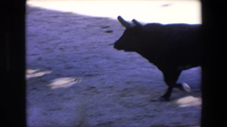 The black bull moves close to the camera's line of sight in a shadowed portion of the Barcelona arena, rendered as a soft, dark profile on 8mm film.