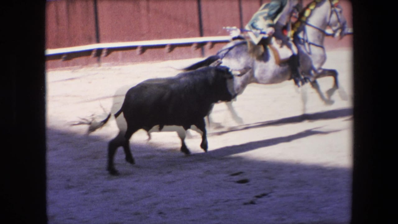 A mounted rider on a pale horse engages a black bull near the arena barrier in Barcelona, with the sandy ring and strong daylight shadows visible.