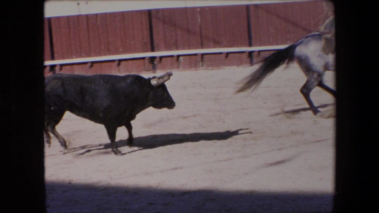 In Barcelona, Spain in 1971, a black bull moves across a sunlit sandy arena while part of a grey horse exits the upper right of the frame.
