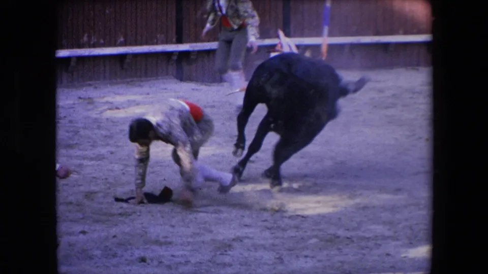 A bullfighter lands on hands and knees in the sandy Barcelona bullring while the black bull moves away and a standing person is visible behind the barrier area.