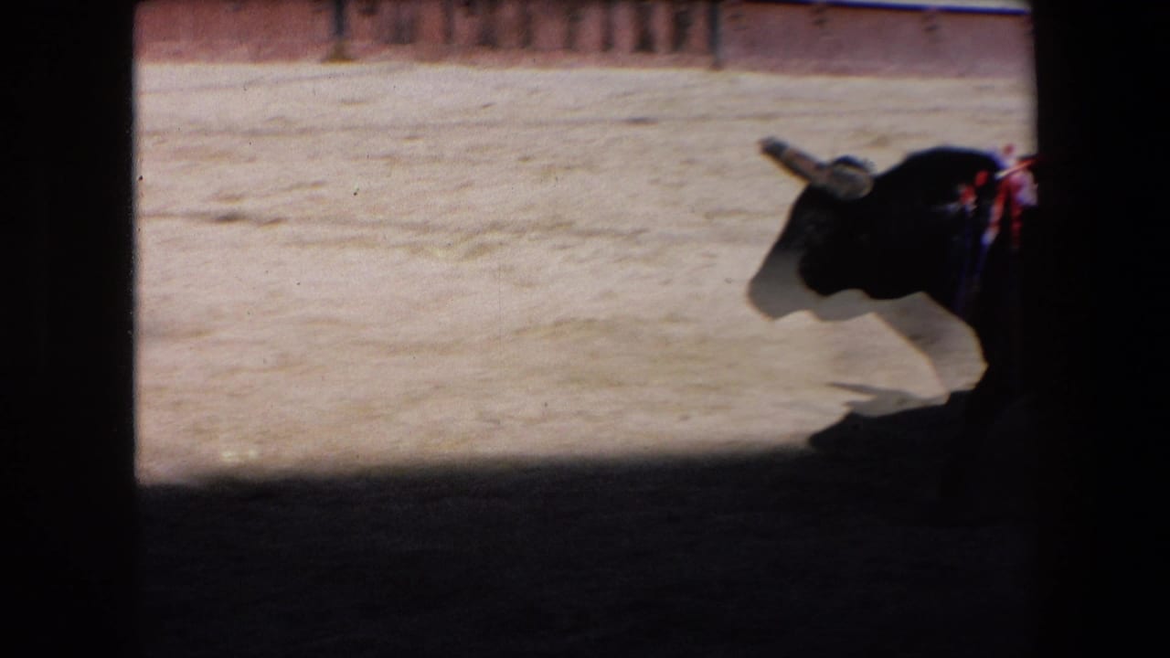 A black horned bull moves through a sunlit sandy bullring in Barcelona, Spain, from 1971 metadata, with strong shadow and 8mm contact-sheet framing.