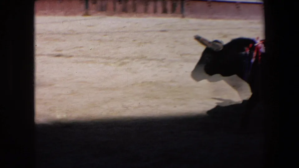 A black horned bull moves through a sunlit sandy bullring in Barcelona, Spain, from 1971 metadata, with strong shadow and 8mm contact-sheet framing.