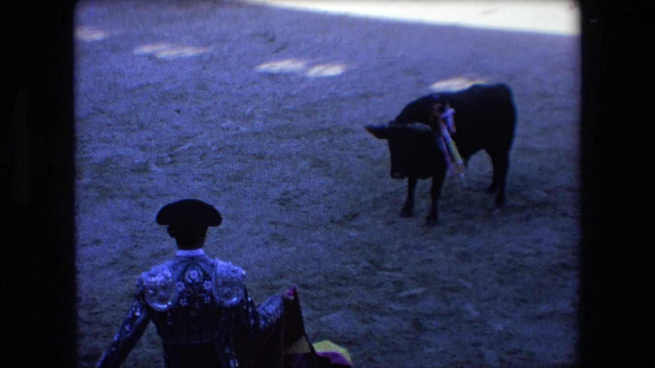 In the supplied 1971 Barcelona bullfighting footage, a matador in ornate dress stands at the edge of a shaded sandy ring while a dark bull with banderillas faces him.