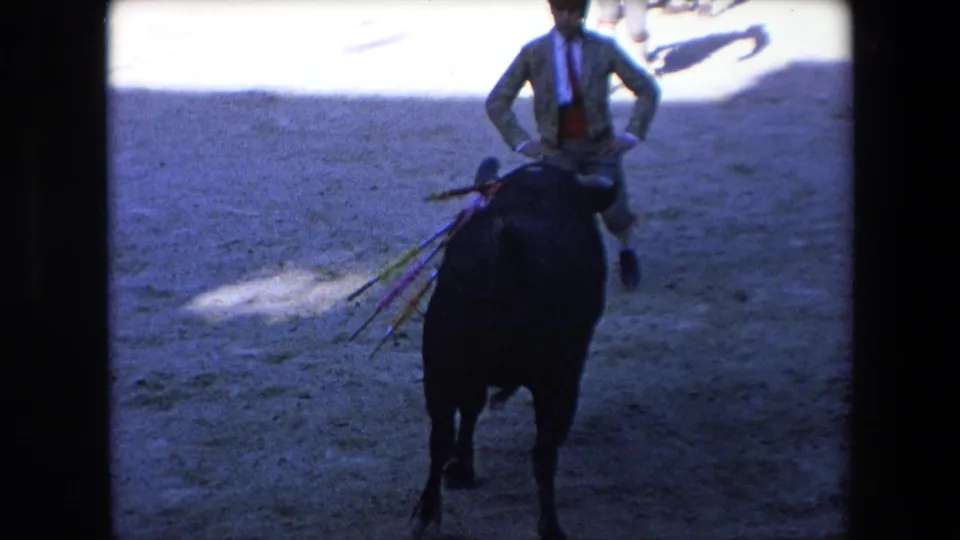 The bull advances near the camera position while a bullfighter in traditional dress stands beyond it, with banderillas projecting from the bull's shoulders in the shaded ring.