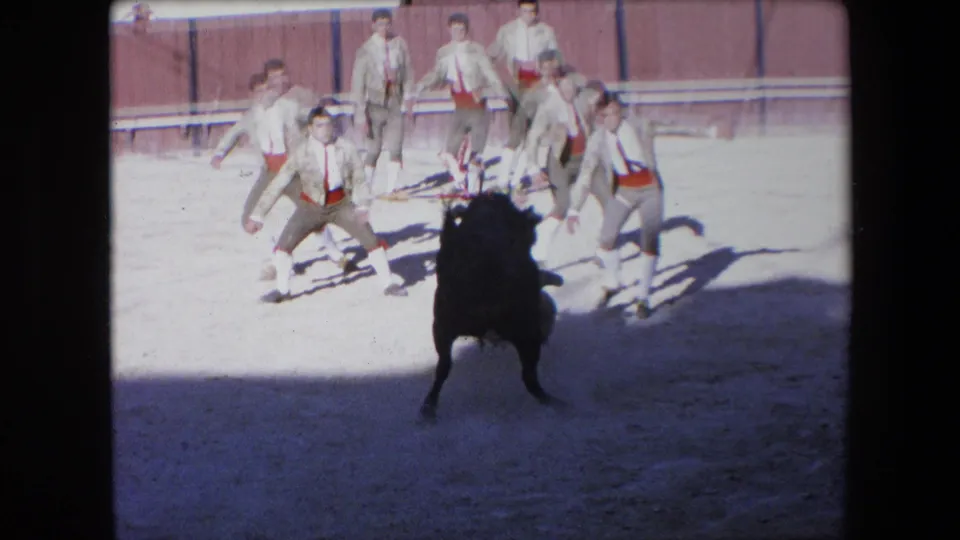 Several assisting bullfighters in coordinated light outfits gather near the wooden barrier as a dark bull faces them from the shaded sandy arena in the supplied Barcelona bullfight clip.