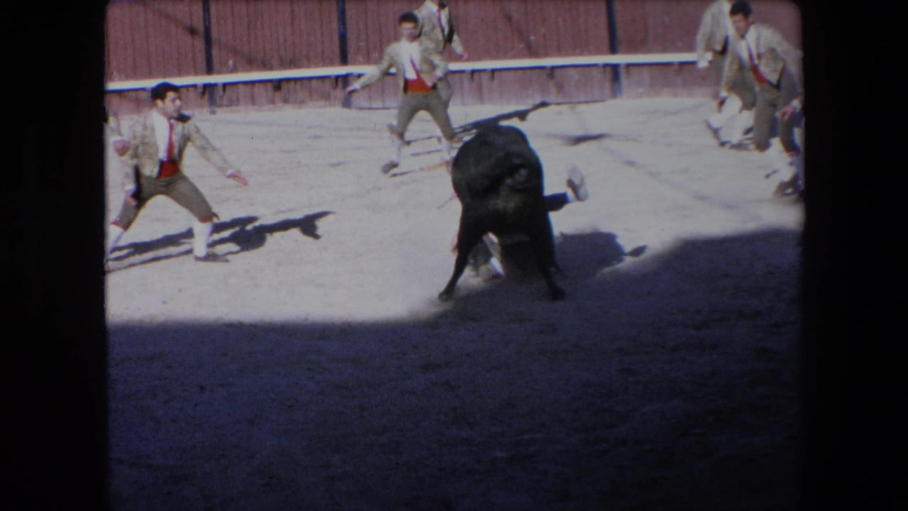 Young bullfighters face a black bull on sandy arena ground.