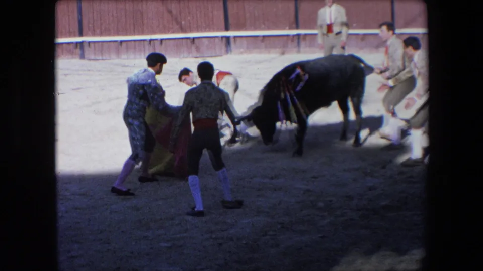 Multiple young participants with capes and light uniforms cluster around a black bull near the wooden barrier in the 1971 Barcelona arena footage.