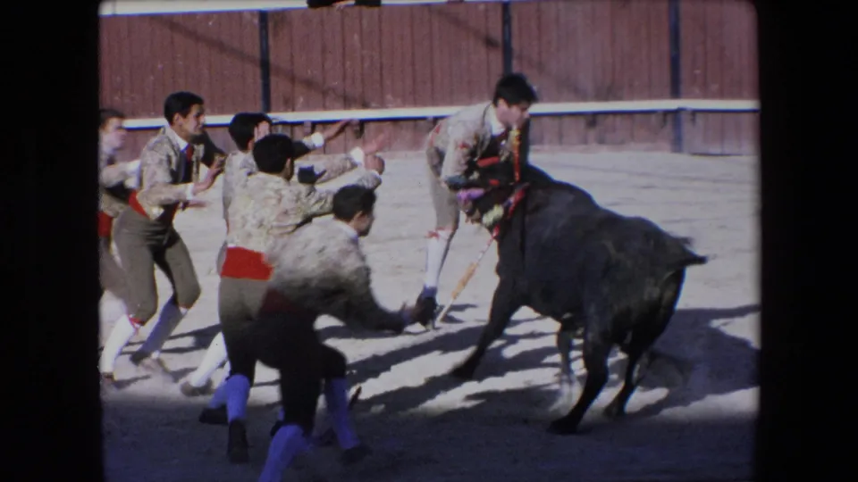 Costumed assistants in the 1971 Barcelona bullring move toward a black bull as a matador stands close to the animal near the wooden barrier.