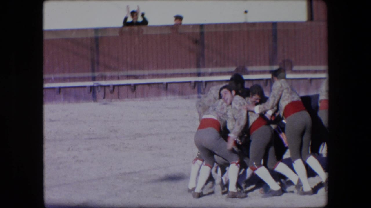 Group of bullfighters struggle with a black bull near the arena wall.