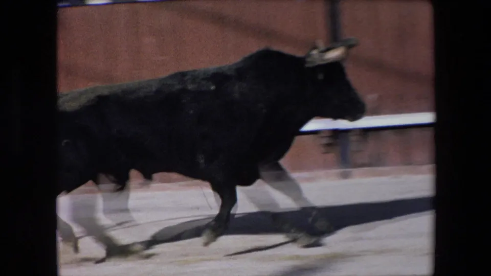 A black bull moves across the sandy Barcelona arena, filmed with motion blur against the wooden ring barrier.