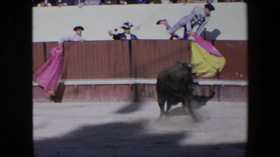 Matador and assistants or spectators stand above the wooden barrier while a black bull runs below the pink and yellow cape in the 1971 Barcelona arena.