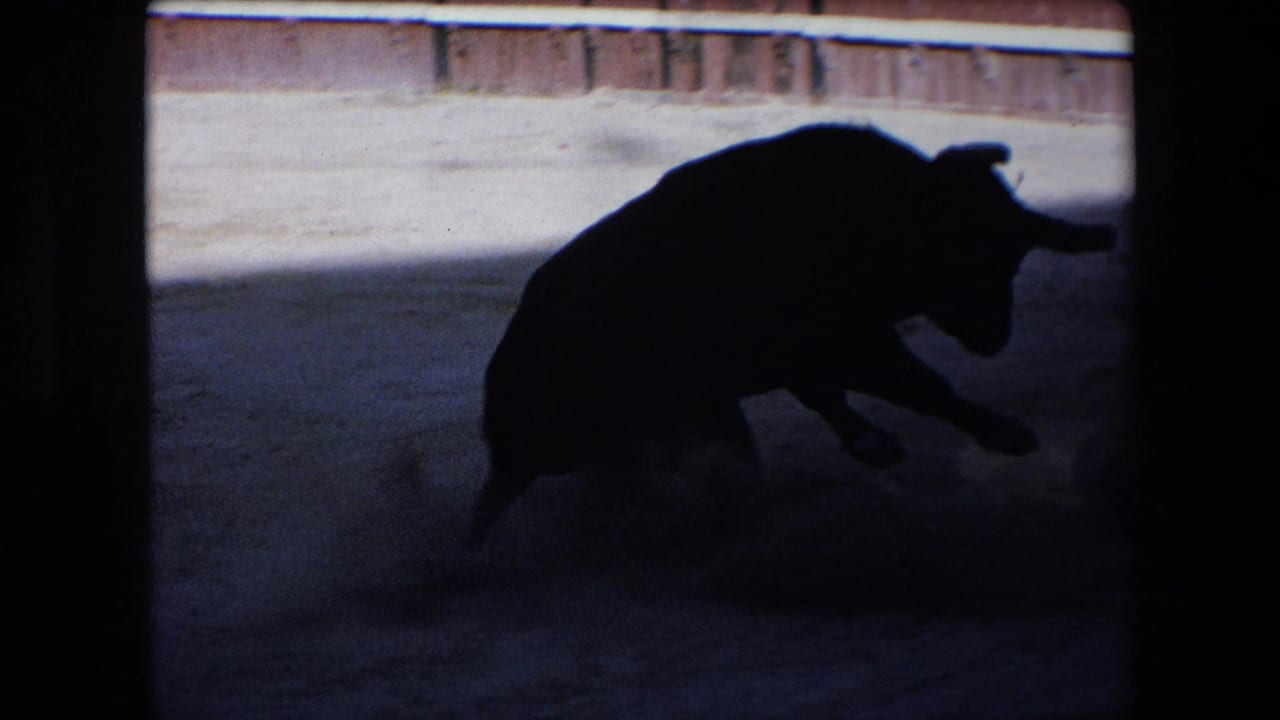 In a 1971 Barcelona bullfighting scene, a black horned bull moves through shadow across the sandy ring with the arena barrier behind it.