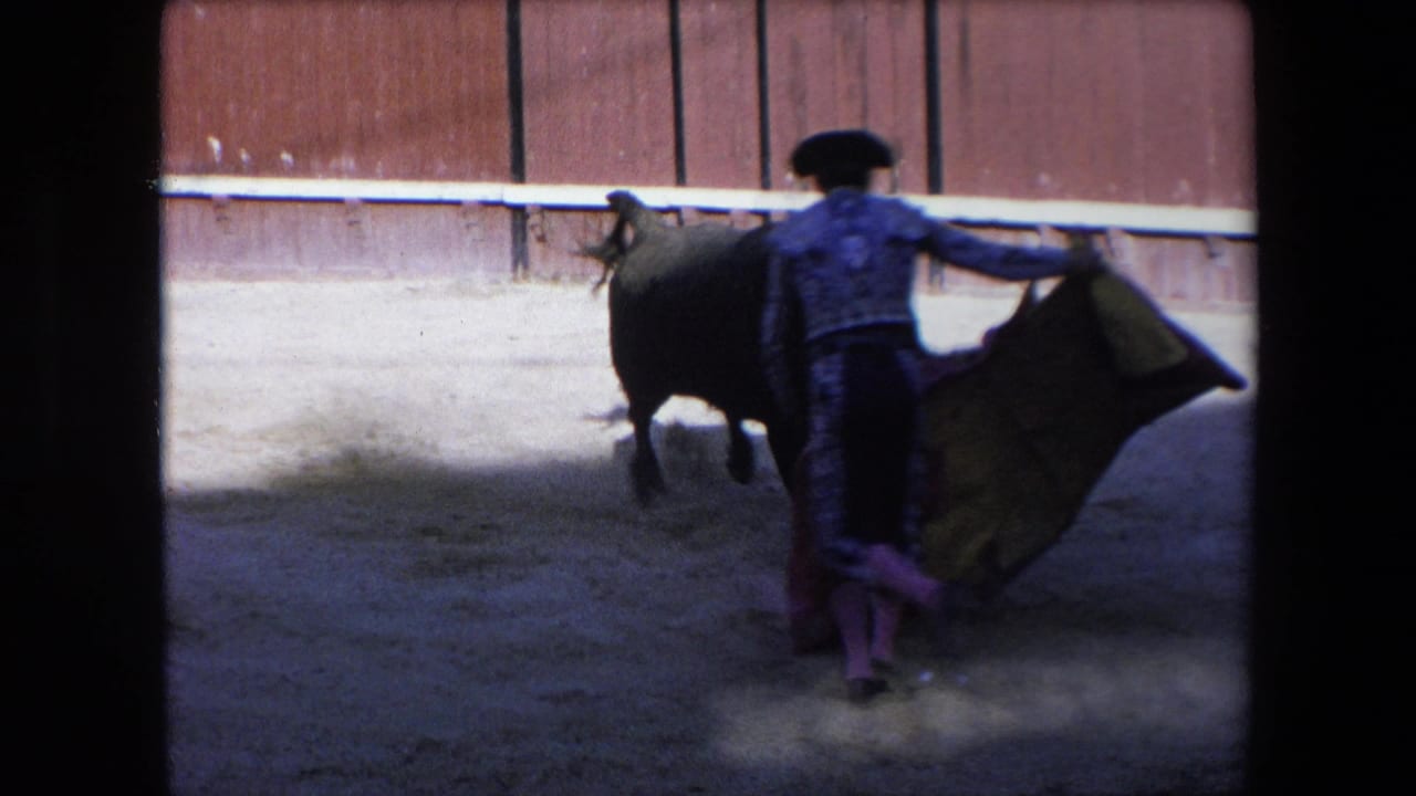 Bullfighter with cape faces a black bull in a sandy arena.