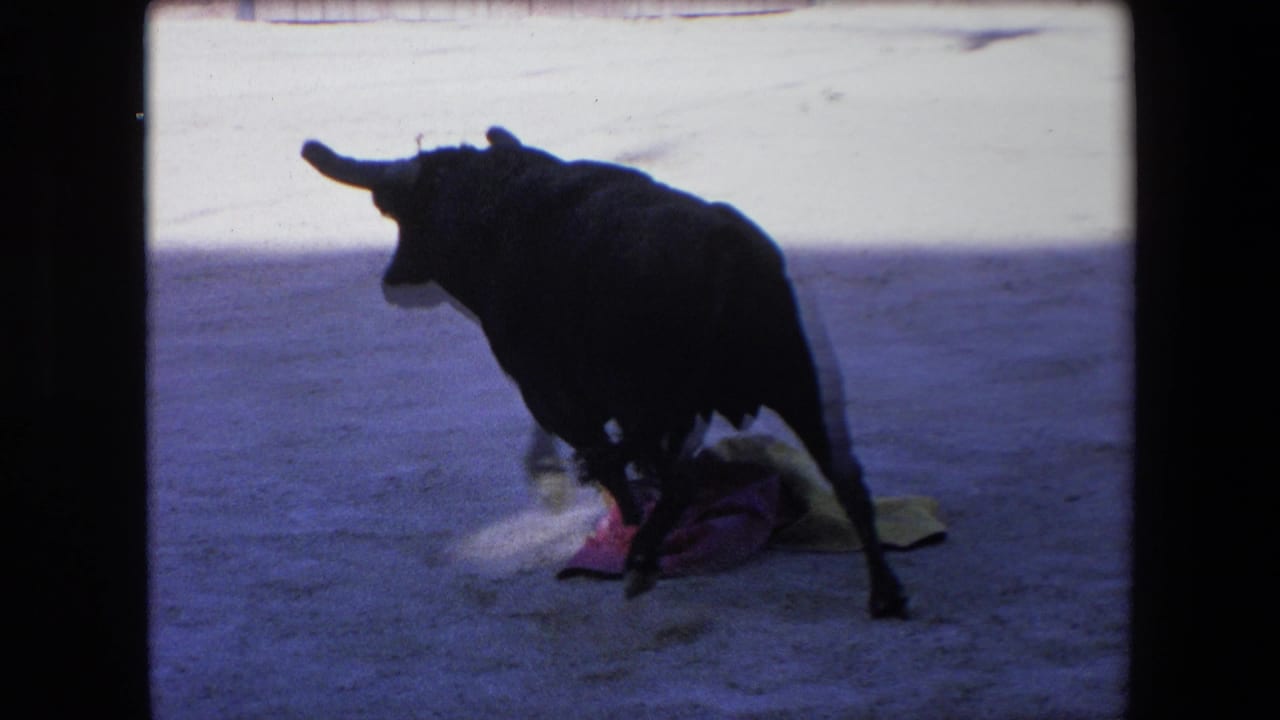 1971 Barcelona 8mm frame showing a black bull moving across the bullring as a colorful cape lies on the sandy floor.