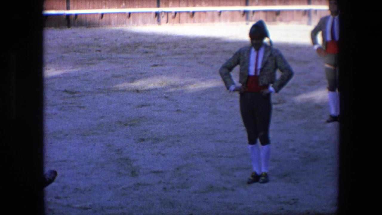 Matador in traditional costume stands in the arena near the wooden fence.