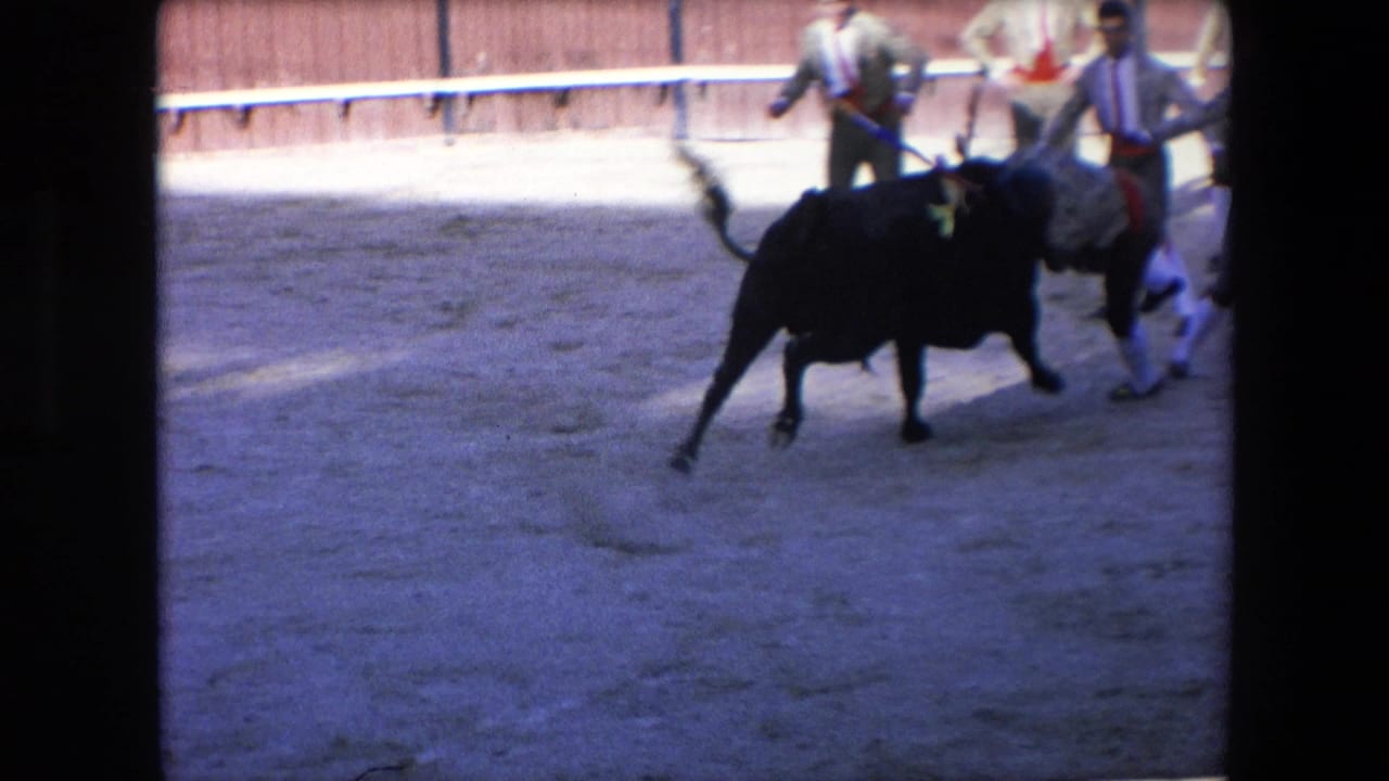 In metadata-supported 1971 Barcelona footage, a black horned bull moves across a sandy arena as bullfighters in white stockings and red sashes scatter near the barrier.