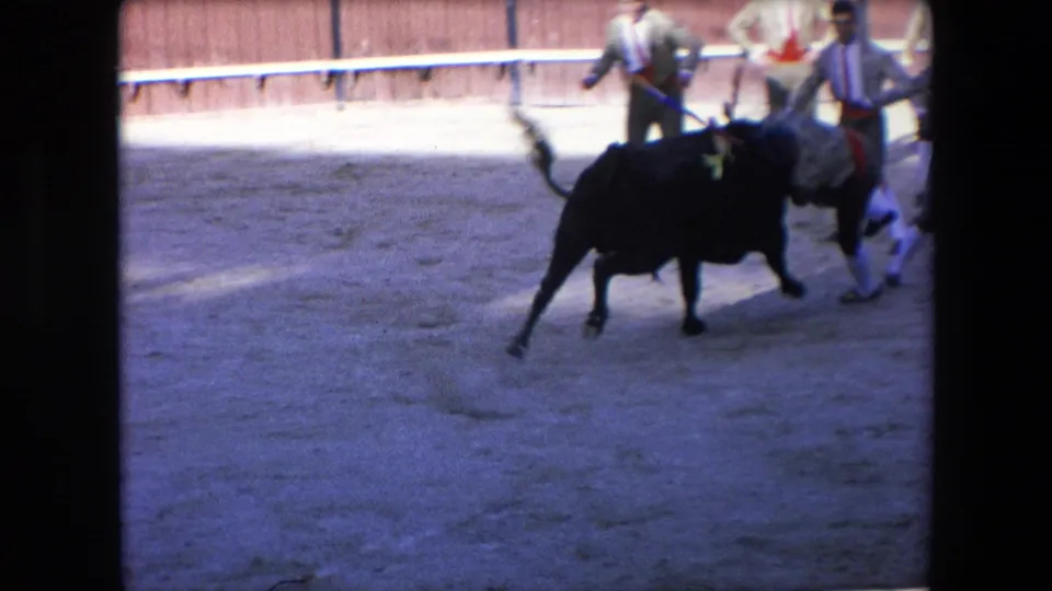 In metadata-supported 1971 Barcelona footage, a black horned bull moves across a sandy arena as bullfighters in white stockings and red sashes scatter near the barrier.