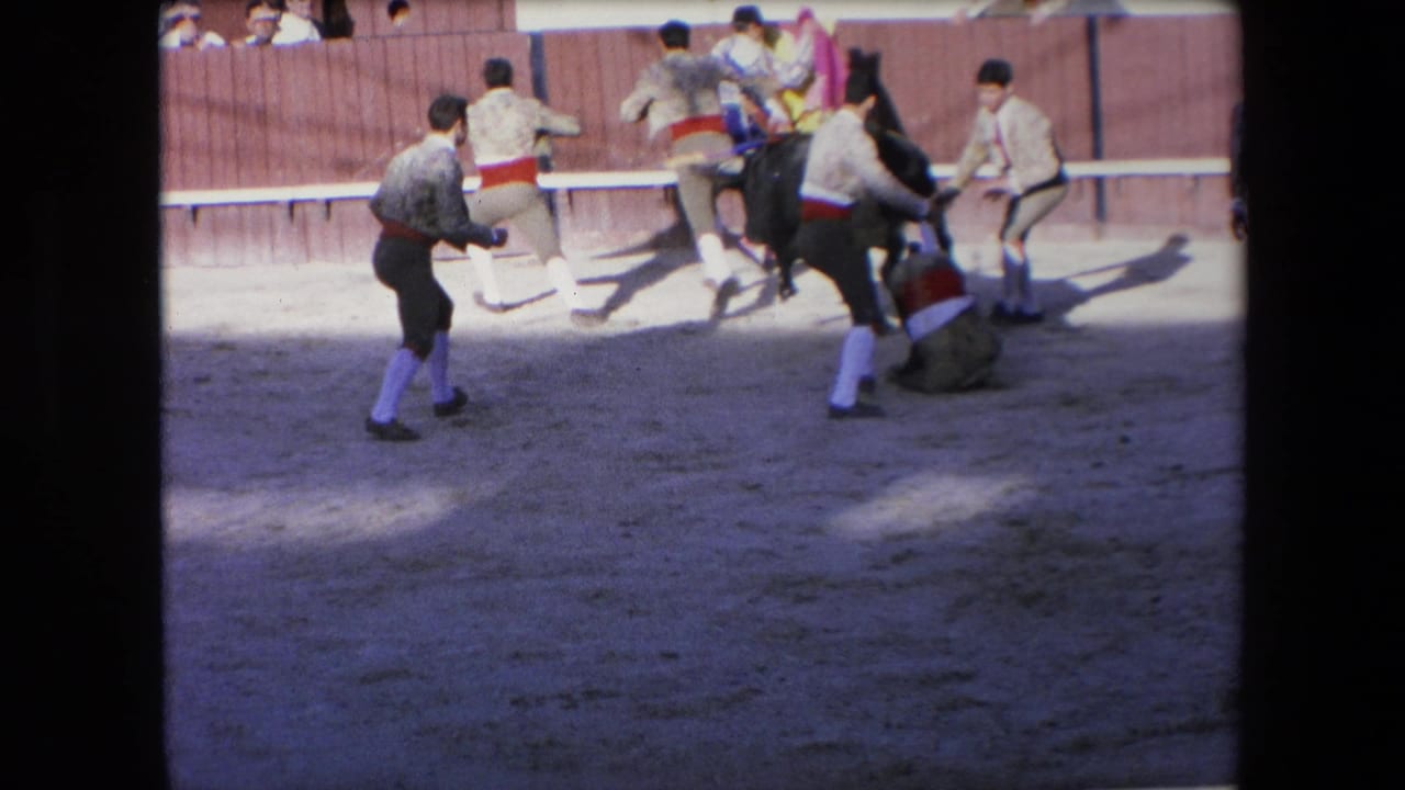 Bullfighters run from a bull as one person falls near the barrier.