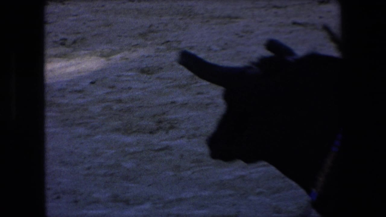 A large bull appears in dark silhouette against the dusty arena surface during the 1971 Barcelona bullfighting scene.