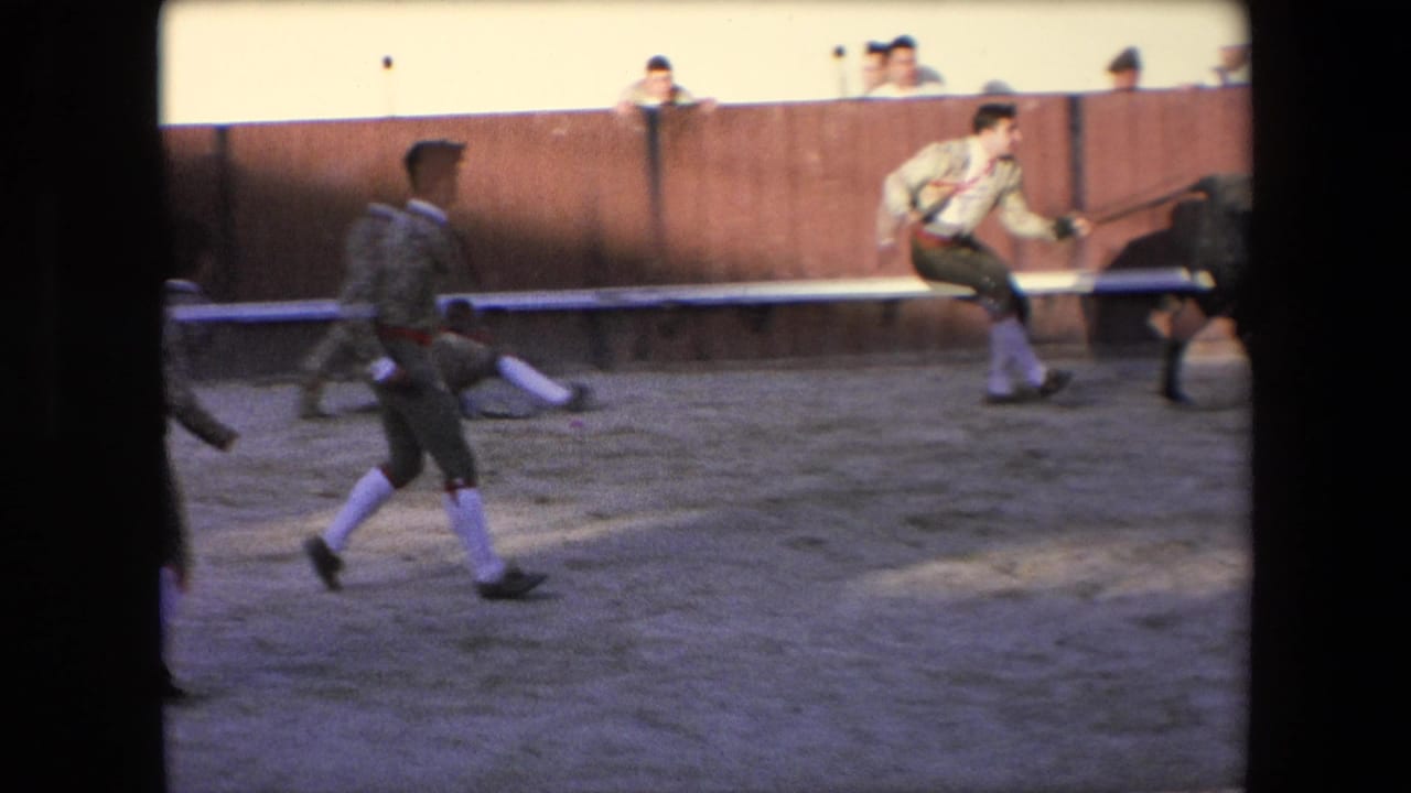 Dark bull runs near a matador while other performers cross the arena.