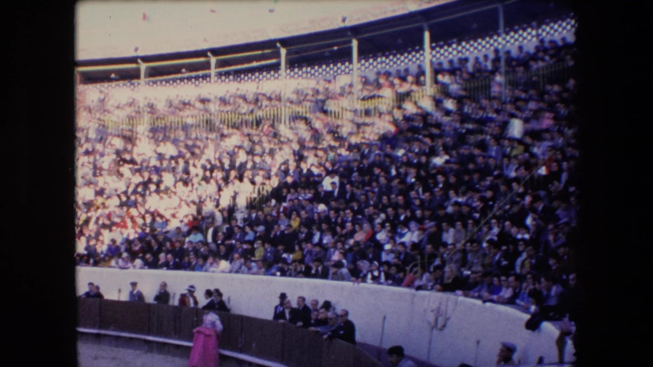 Bullring crowd with a pink-costumed figure visible near the arena wall.