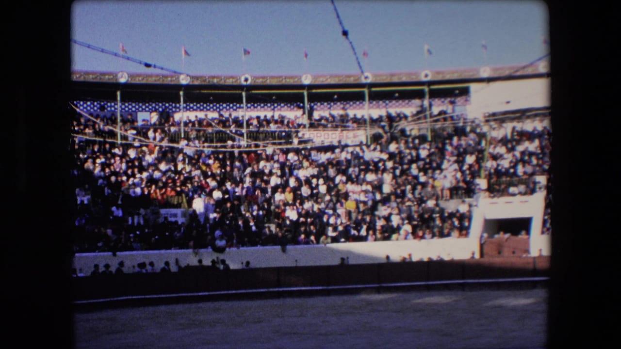 Crowded arena seating seen across the bullfighting ring under bright daylight.