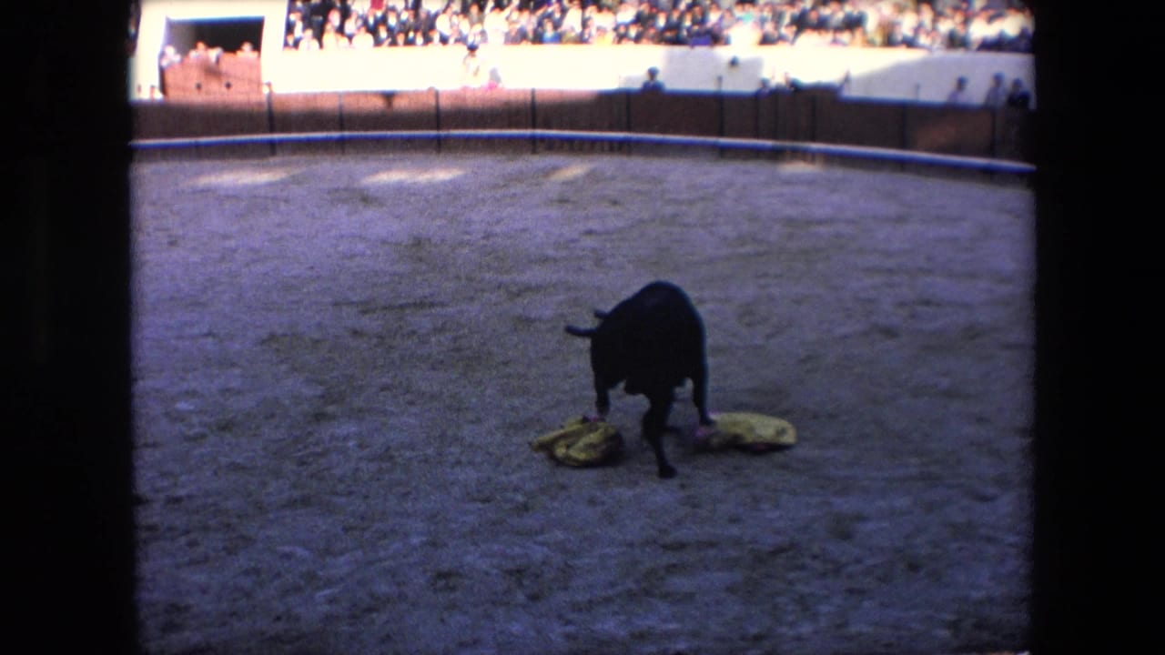 In a 1971 Barcelona bullring scene, a black bull stands near yellow cloths on the sand while spectators are visible above the arena barrier.