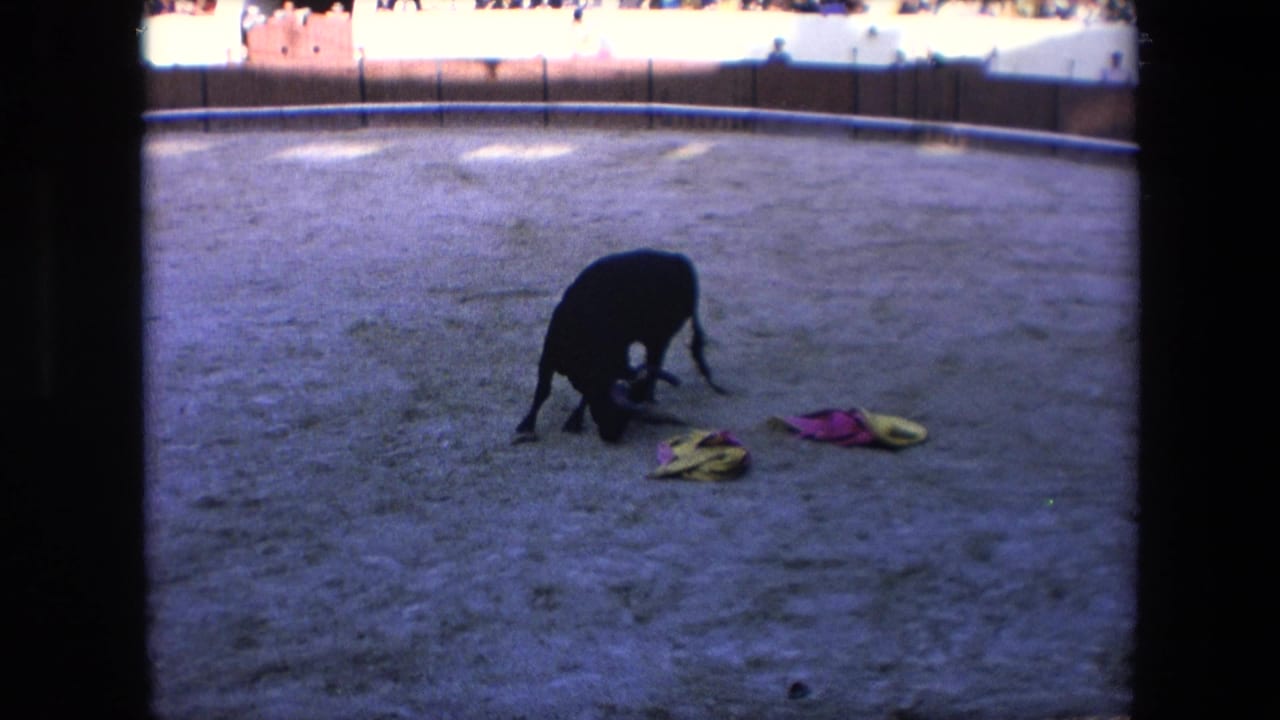 A black bull lowers its head beside pink and yellow cloths on the sandy ring, with the Barcelona bullring seating visible in the background.