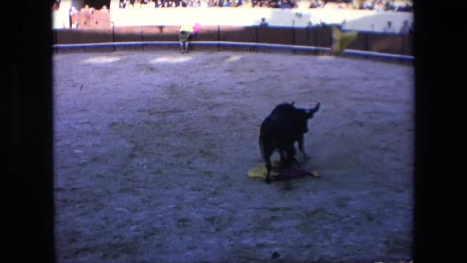 The bull remains in the sandy Barcelona arena near fallen capes while additional bright cloths appear in motion near the far side of the ring.