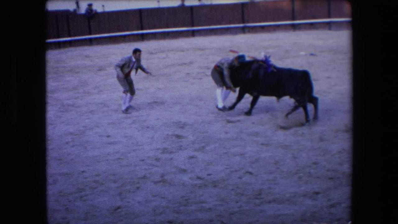 In a 1971 Barcelona bullring scene, a black bull lowers its head near two men in light clothing as spectators watch from behind the arena wall.