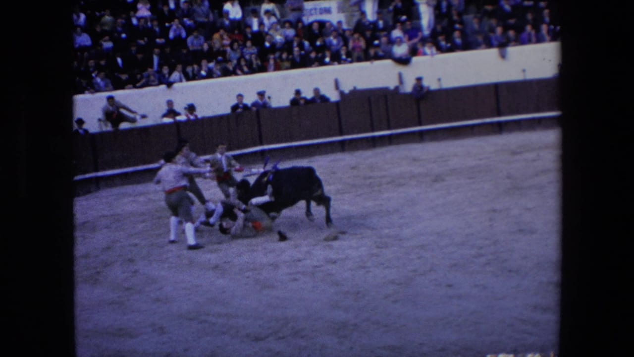Bull knocks into a cluster of men as spectators fill the stands behind them.