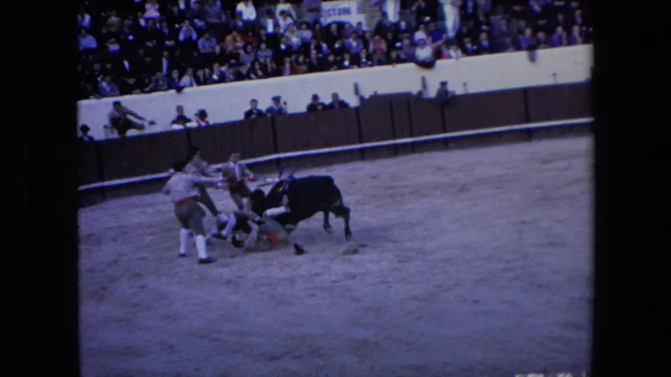 The bull collides with or runs through a group of men in the Barcelona arena while a packed audience watches from the stands.