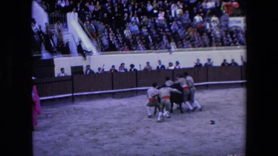 A group of men moves around the black bull near the barrier wall as a large audience watches from the stands in the Barcelona bullring.