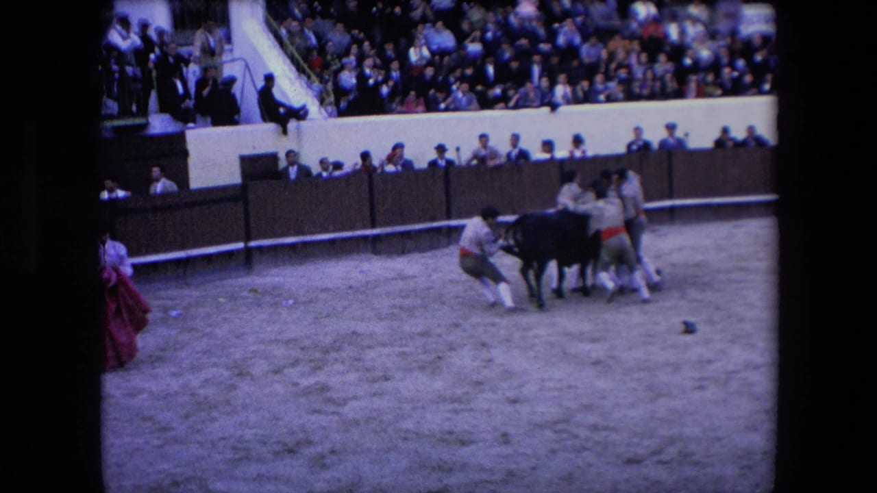 In supplied 1971 Barcelona home-movie footage, several men handle a bull on sandy arena ground as a large seated crowd watches from behind a barrier.
