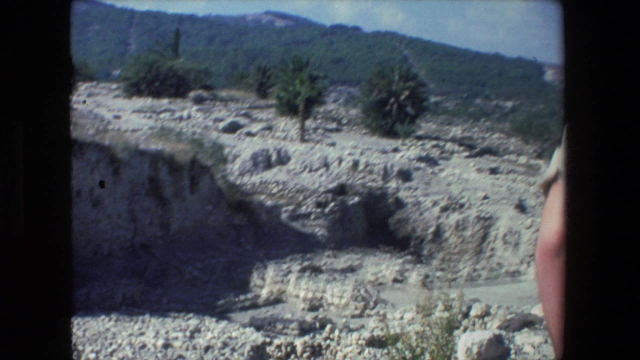 1972 Israel 8mm travel frame showing a sunlit rocky canyon with layered pale stone, scattered scrub, distant palms, and a green hillside beyond.