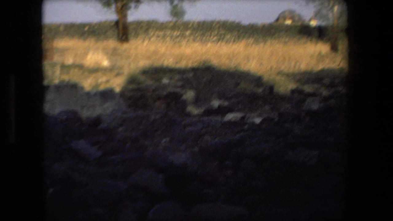 Handheld 8mm view across rocky ground, dry grass, and distant trees at the Tel Aviv ruin site, with heavy dark frame edges.