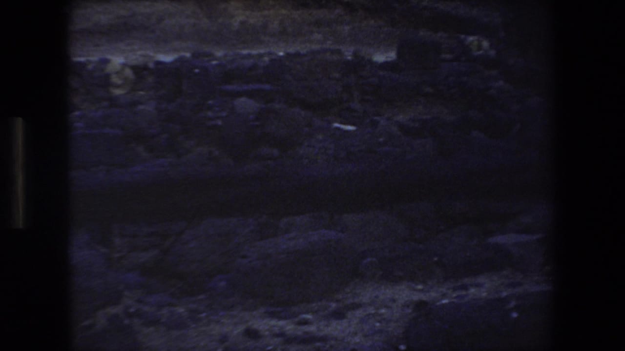 Dark 1972 8mm home-movie frame with indistinct water or shoreline texture under low blue-purple exposure.