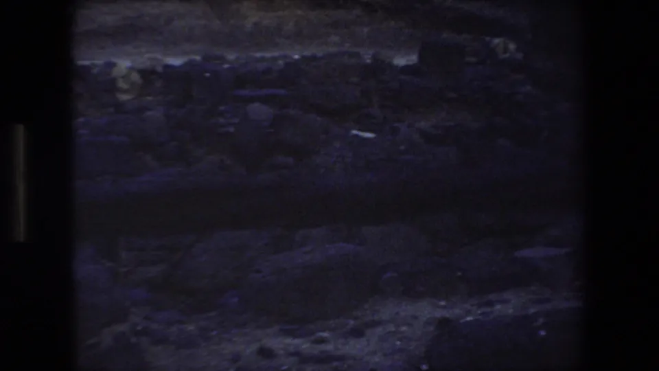 Dark 1972 8mm home-movie frame with indistinct water or shoreline texture under low blue-purple exposure.