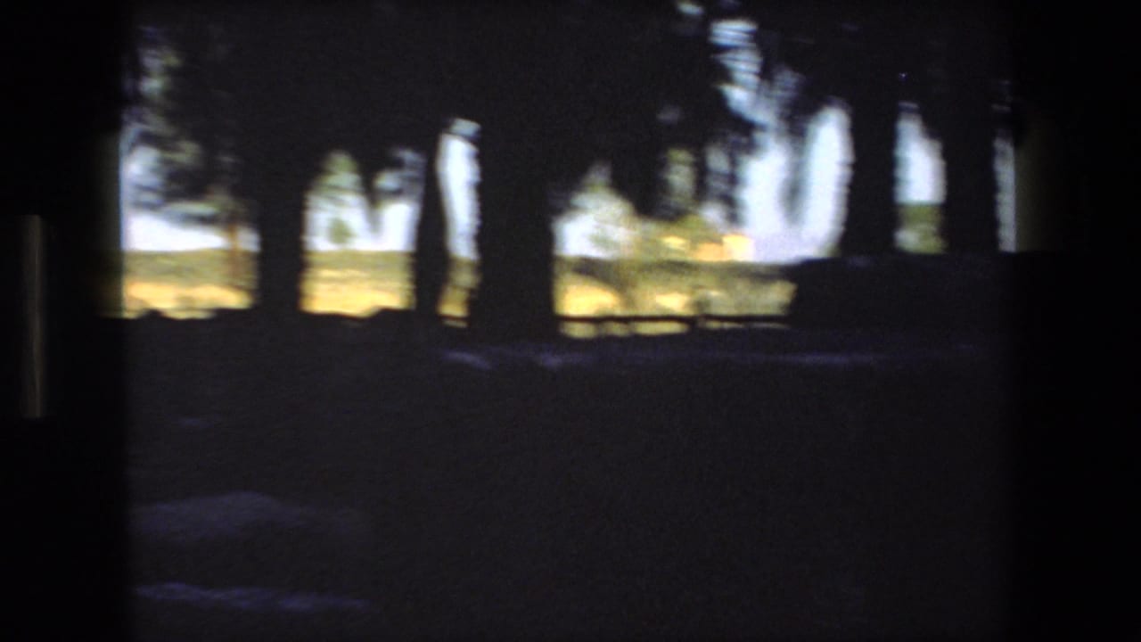 Tree trunks and dark foreground shapes frame a bright outdoor view, with a distant person-like silhouette visible in the 1972 travel footage.