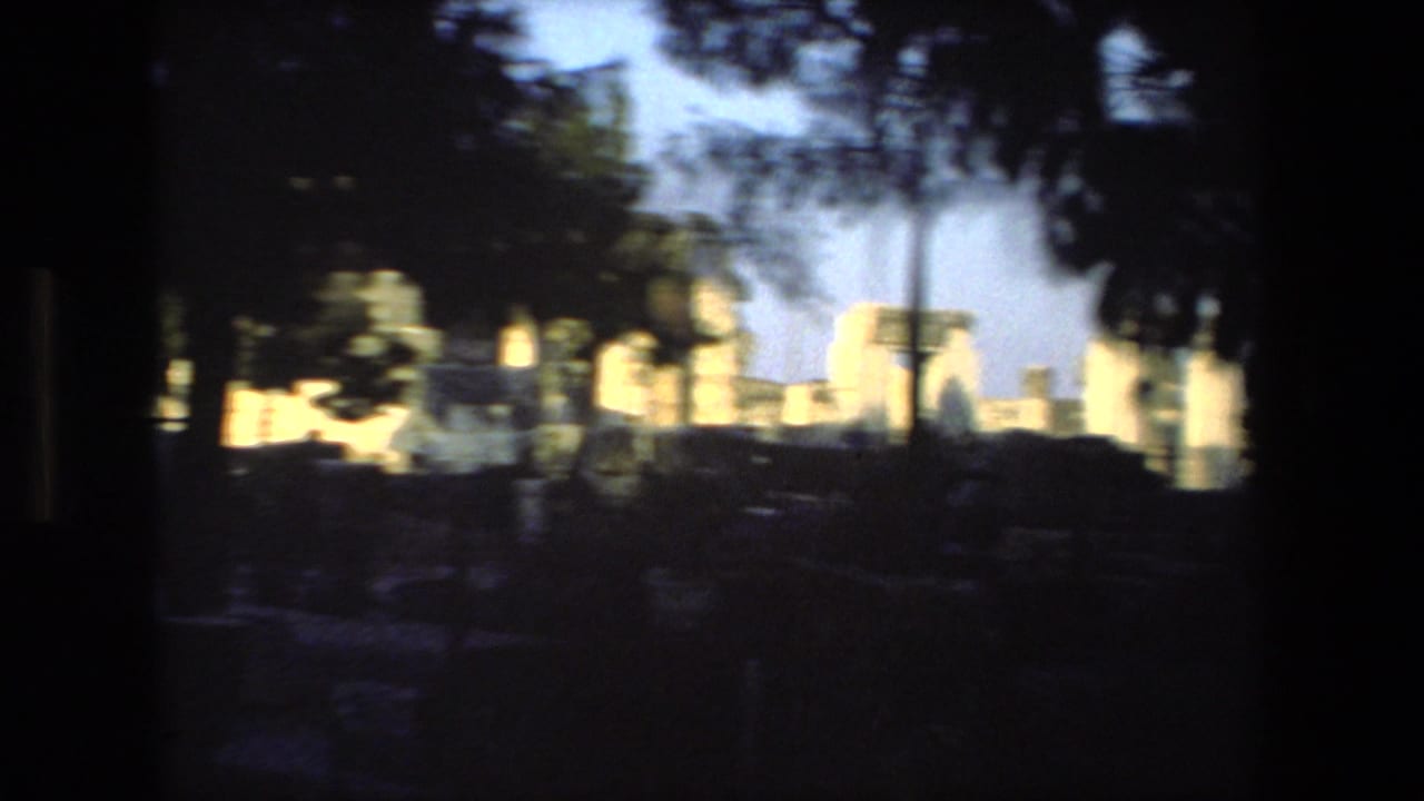 A blurry 1972 8mm travel view shows palm trees, bright sky, and pale structures passing across the frame from a moving vehicle or handheld position.