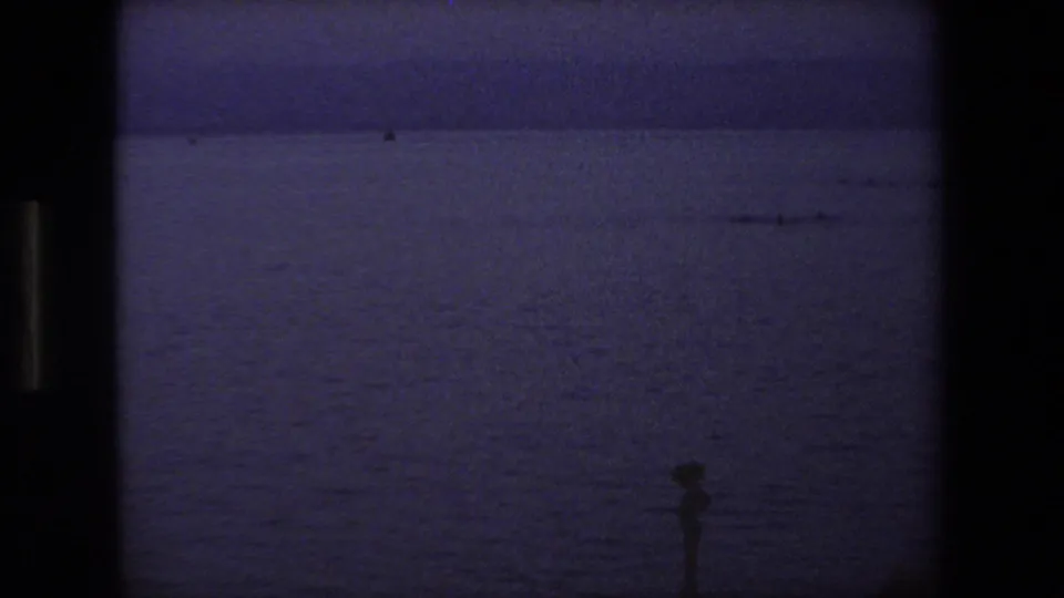 A small person stands near open water at dusk or low light, with a dark horizon and purple-blue 8mm color shift in the metadata-described 1972 travel clip.