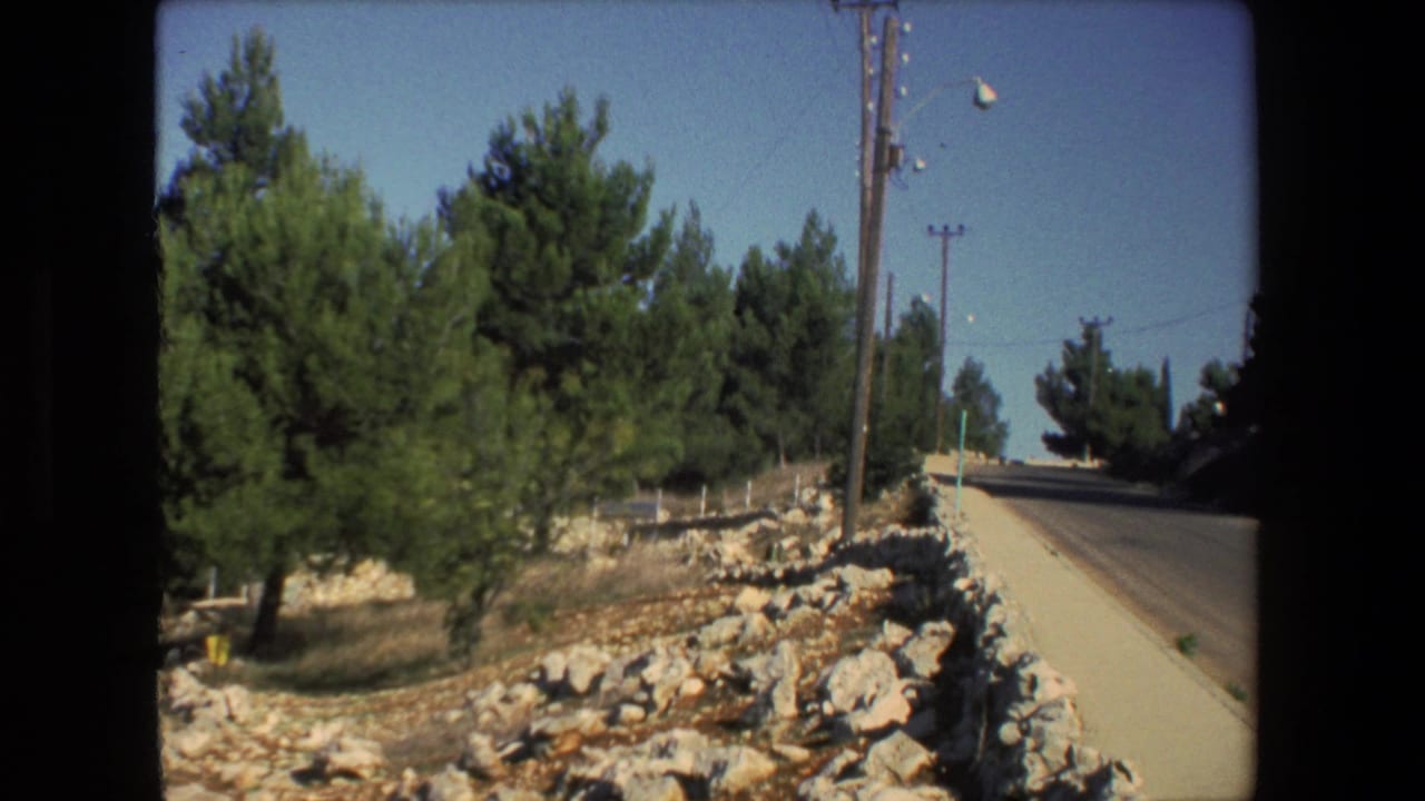 Paved hillside road beside pine trees, rocks, and utility poles.