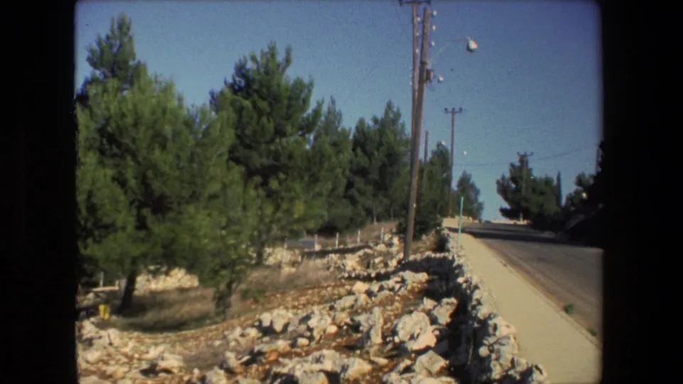 1972 Israel roadside view with a paved road climbing past pine trees, rocky ground, a low stone edge, and utility poles under a clear sky.