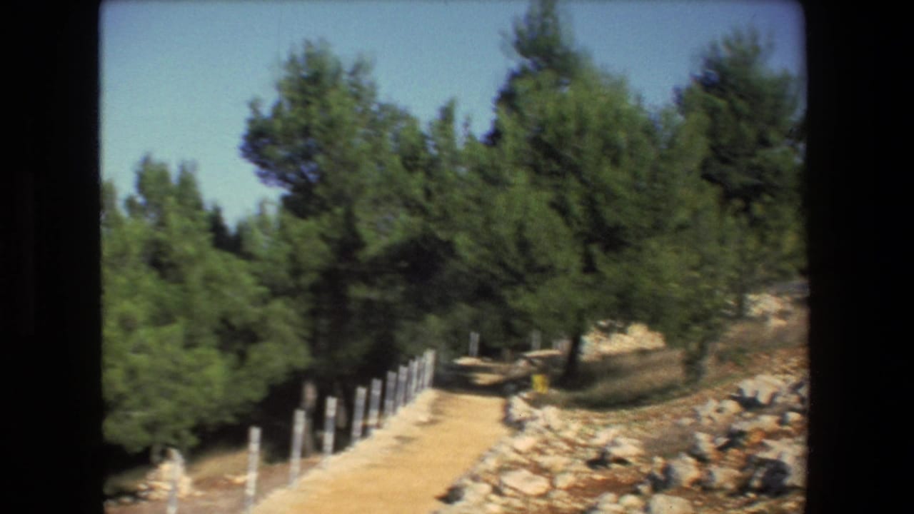 1972 Israel 8mm frame looking along a dry roadside or path with pine trees, white fence posts, rocky ground, and sunlit hillside vegetation.