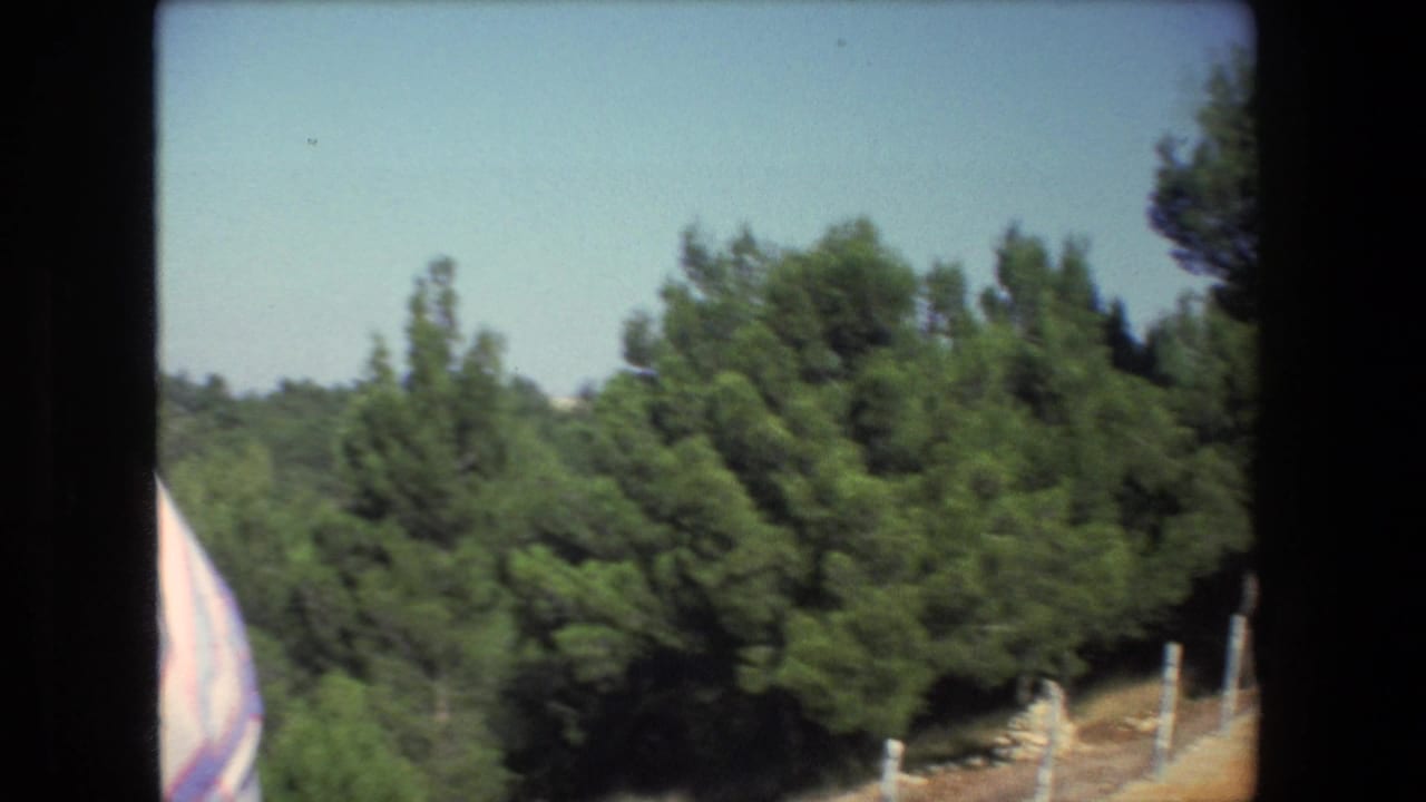 1972 Israel 8mm frame showing dense green hillside trees with a bright road or vehicle edge at left and fence posts partly visible at right.