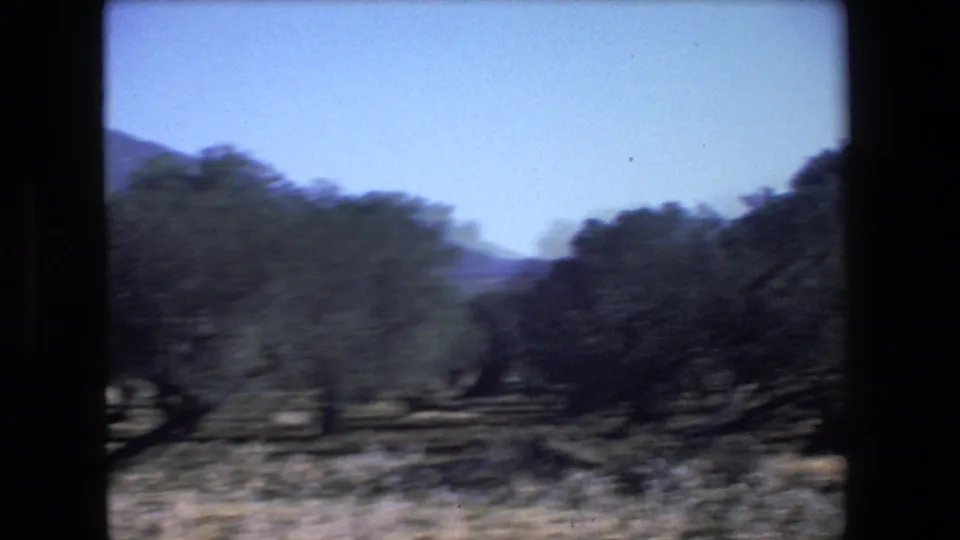 Motion-blurred 1972 Israel 8mm frame showing olive trees, dry ground, and distant hills, likely filmed while the camera or vehicle was moving.