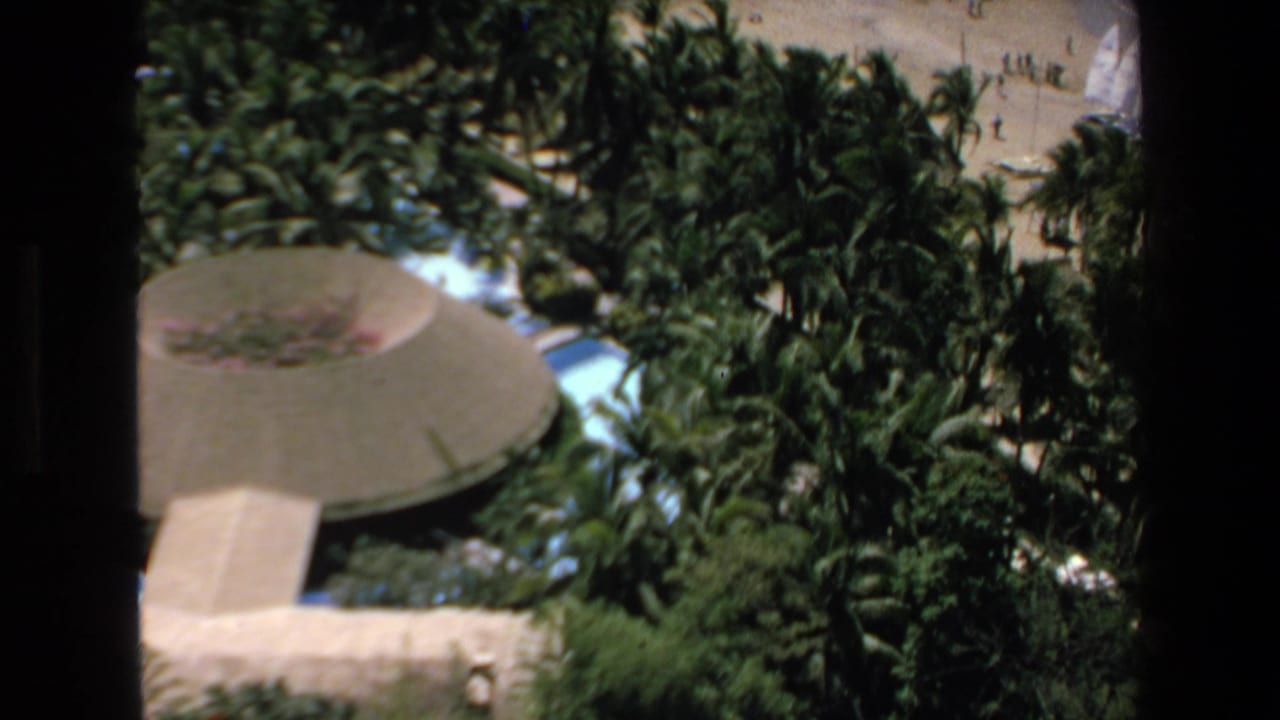 Elevated view of palm trees beside a circular roofed building near the beach.